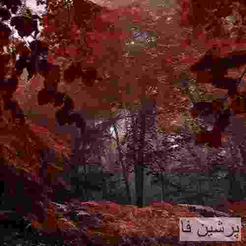 پارسالیپ شهر بی ستاره