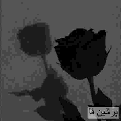 مامازی و شامبا Where the Love at