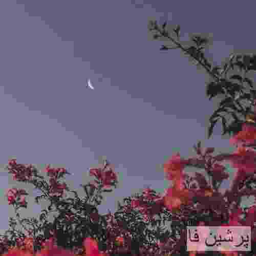 ایسام Obsessed