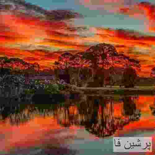 تهی سوپر استار