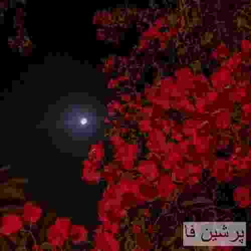 صادق من مردم یا زندم دقیق نمیدونم یه زمین خورده خاکی از دنیا به دورم