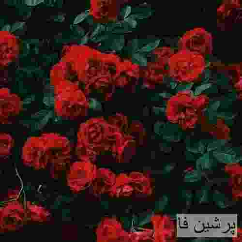 رضا بهرام لطف