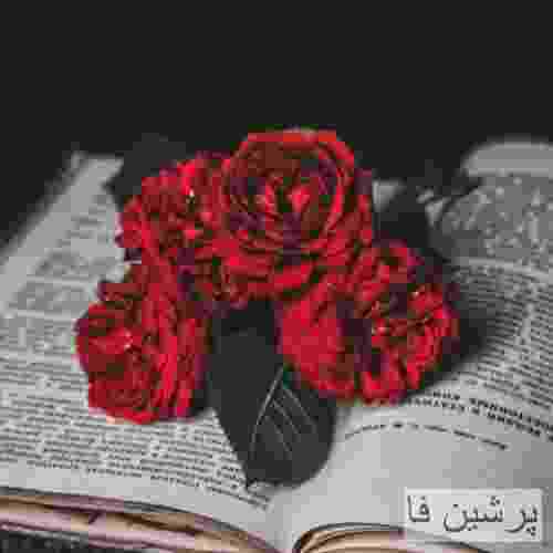 آرفا و vinak & Soren KZ فانتزیته