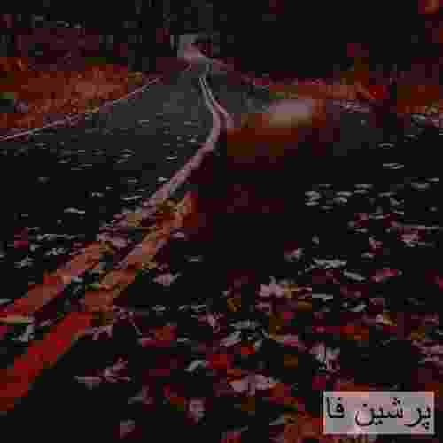امیر کیانی طناز