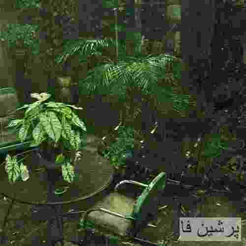 دیگرد خزون