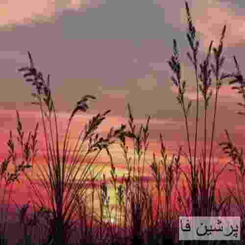 بهزاد لیتو و سیجل و سپهر خلسه شل کن