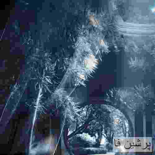 شان پال و دوآ لیپا نو لای