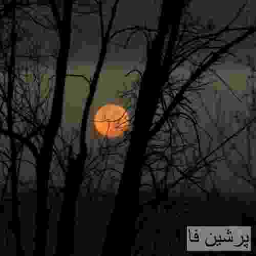 مهراد هیدن سهراب ام جی علی اردوان کتچی بیتز کشه دستم لشه لفظم و لهجم چه ریلکسم سپی خلسم
