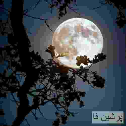 مهراد هیدن سهراب ام جی علی اردوان کتچی بیتز میام روی خطت
