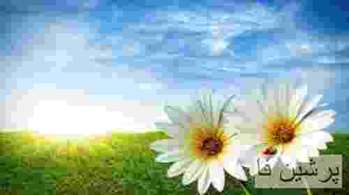 لیلا فروهر سلام گل به تو ای گل نشونم