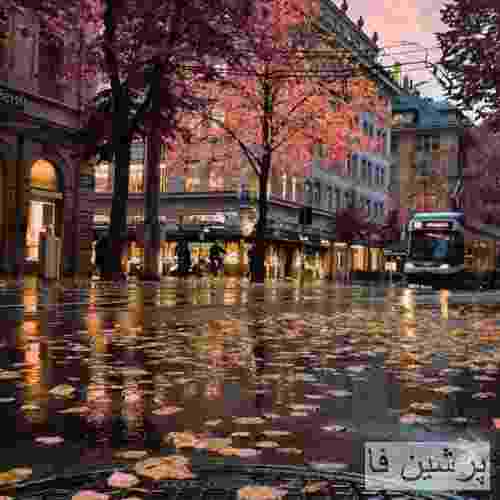 کوروش و رها بقیه رو ول کن تو ول کن تو ول کن اون مومنتو