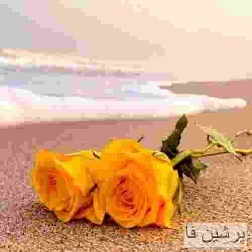رسول محمدی کوه غرور دل من