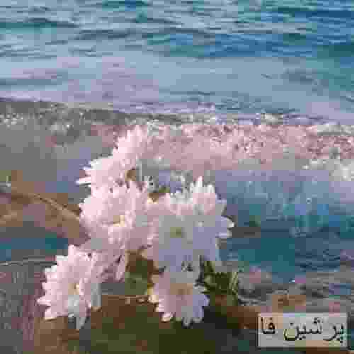 مصطفی طهماس خانی ساقی