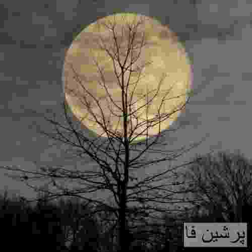 دن دورترین عشق