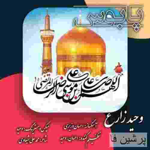 وحید زارع پابوس