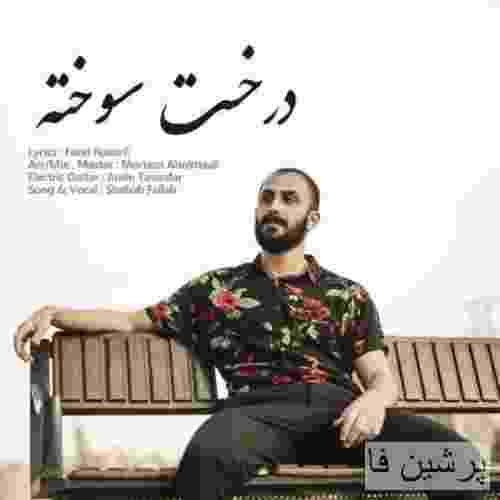 شهاب فلاح درخت سوخته