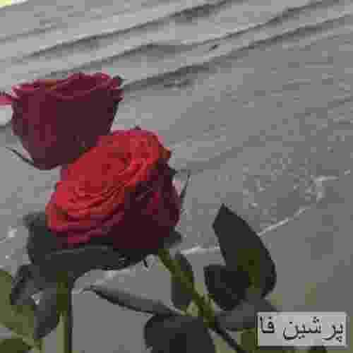 آرتا عجمی سبزه به ناز میایه