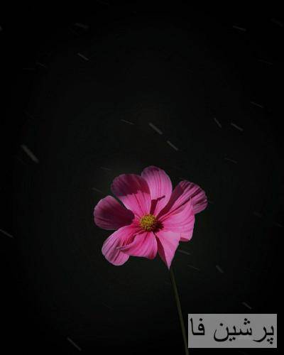 مریم زارع وعده دیدار