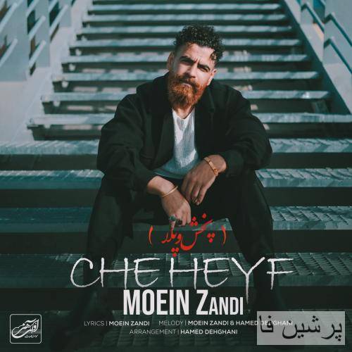 دیگه دستاتو ندارم ندارم چه حیف