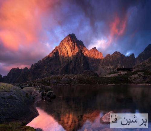 یانگ صادن و دارو دسته هش میخوای هس