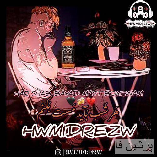 حمیدرضا هر شب باید مست بکنم