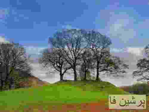 هیپهاپولوژیست ویزیت بین المللی