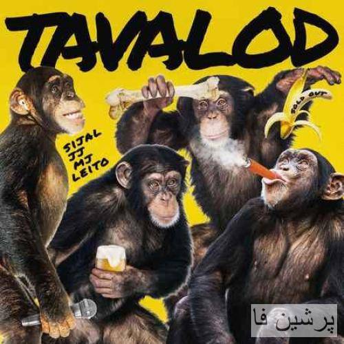 سیجل و علیرضا جی جی و سهراب ام جی و بهزاد لیتو تو تولد