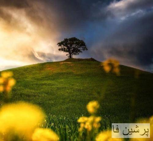 بزار که در برن همه ازت همه بزار همه بشن بزرگ تو گرگ