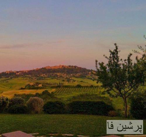  امسال سالمه نه شکی نیست