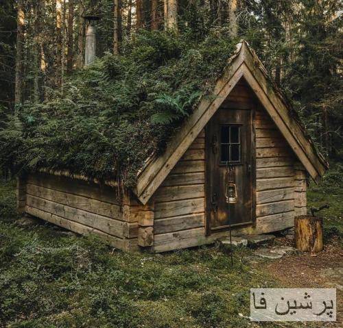  نمیخوام کسیو یه لحظه بیشتر خیلی وقته دلم نمیلرزه