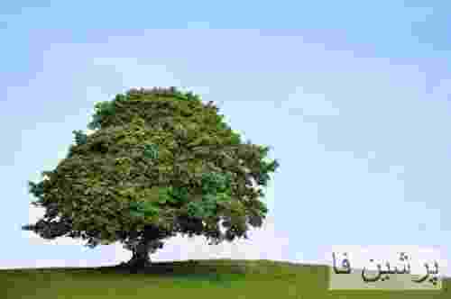 هی لعنت به این روزگار بد دلم گرم به تو بود ولی تو با من سرد