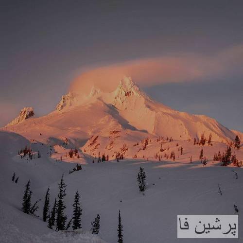 میخوام مرگو بچشم قشنگ بعد دنبال ذائقش شم