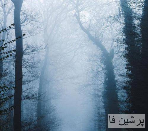 میشم مثه پروانه پر میزنمو میرم دیگه