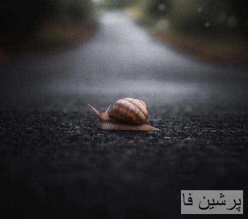 امید رحمتی ای خدایا عشق قشنگه