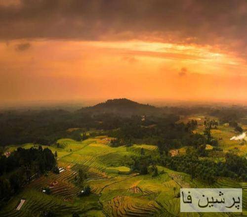 امروز همه تویی و فردا همه تو