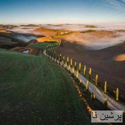نیو رولس ریمیکس