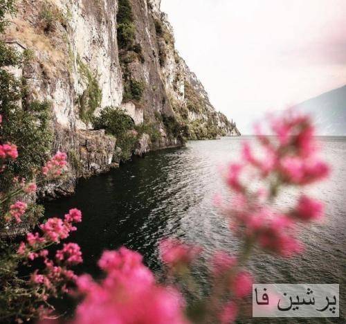 بپا این همه صداقت تو رو نکنه مریضت