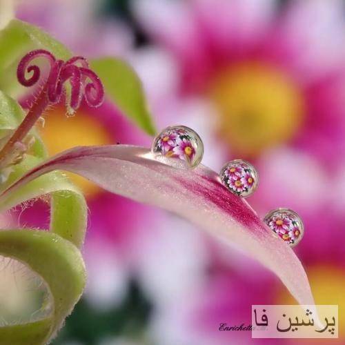  هیچ سالی دَ سالم نی هر روزم یه ساله