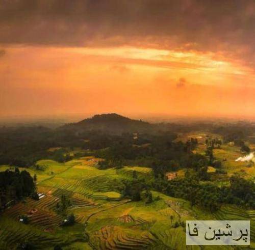 سینا پارسیان قلابی