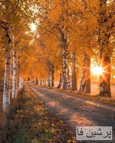  بد میکردی حالمو چه بودی چه نبودی