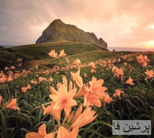 انرژی رو سقفه پشتمونم حرفه