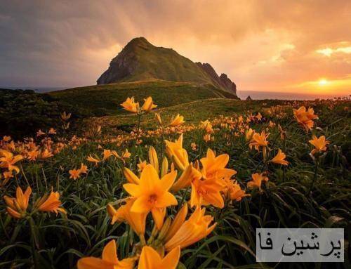 هنوزم به یاد اون چشای پاکت که زول میزدم توش میگفتم می مونه تا کی