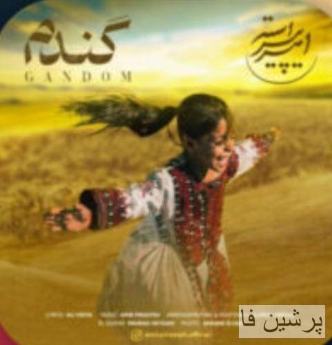امیر پیراسته گندم