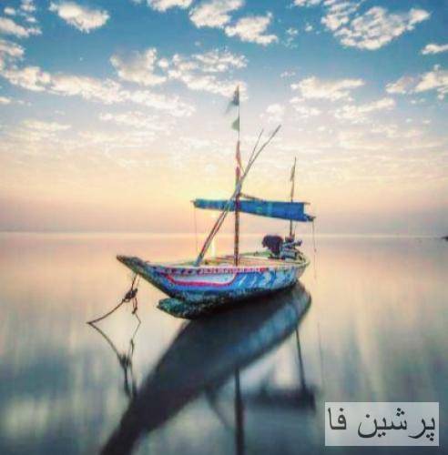 تو خودت داغونی واسه چی باید بزنم نیشت