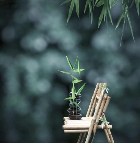 برای من برای زن من عقب نمیکشم