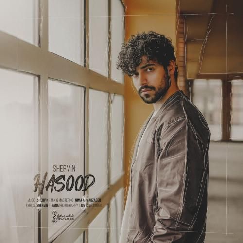 شروین حاجی پور حسود