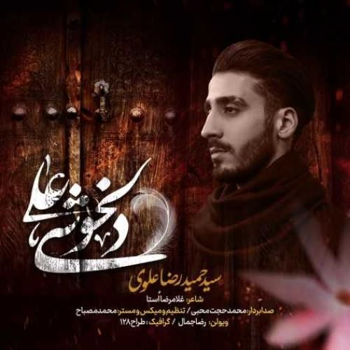 سید حمیدرضا علوی دلخوشی علی