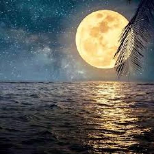 شب با تو بوده سیاه