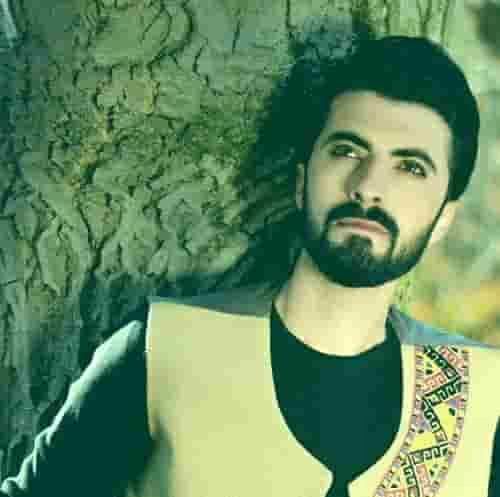 حمید قوی دل رفتی