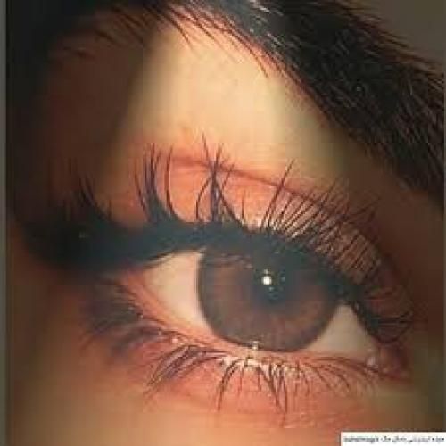 چشمای تو بود خونم میکردی میشستی رو پام تو جمع میکردی منو دیوونم